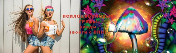 гидра Кулебаки