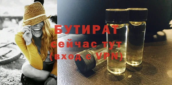 гидра Кулебаки