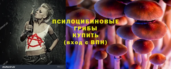 гидра Кулебаки