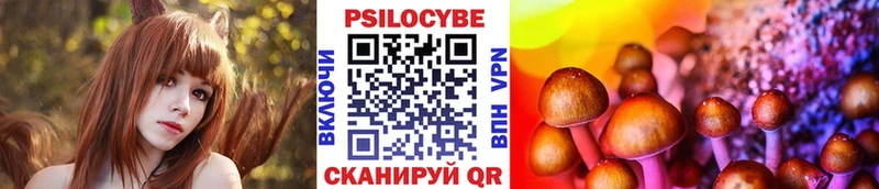 Псилоцибиновые грибы Cubensis  как найти закладки  Мариинский Посад 